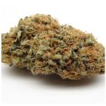 Шишки AK47 (Гидропоника, Бошка) VHQ в Новотроицке Шишки AK47 (Гидропоника, Бошка) VHQ в Новотроицке