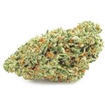 Шишки OG Kush (Гидропоника, бошки) VHQ в Новотроицке Шишки OG Kush (Гидропоника, бошки) VHQ в Новотроицке